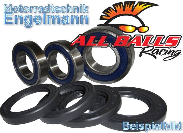 Radlager-Satz-hinten-Aprilia-SXV-450-2006-08-450-ccm-25-1406_3049.jpg